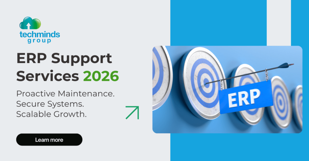 ERP Support Services